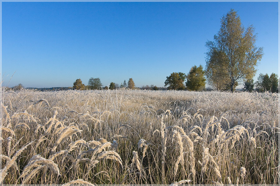 photo "***" tags: landscape, autumn