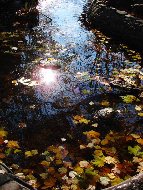 photo "Autum reflections" tags: landscape, 