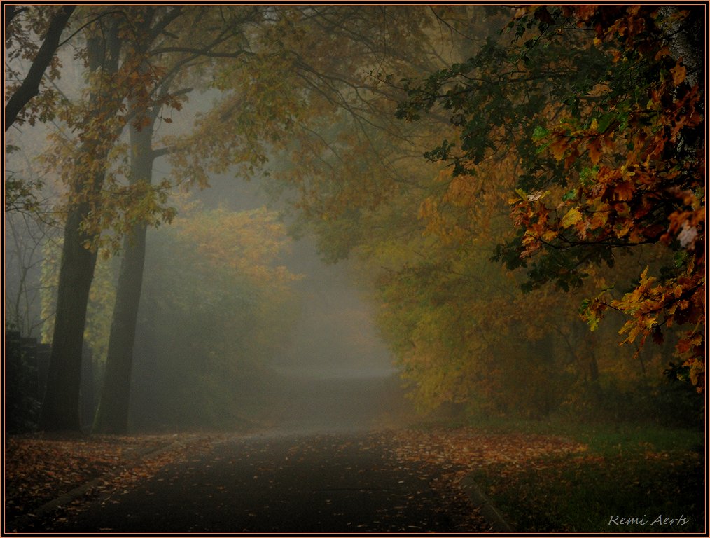 photo "misty autumn day" tags: landscape, nature, autumn, flowers