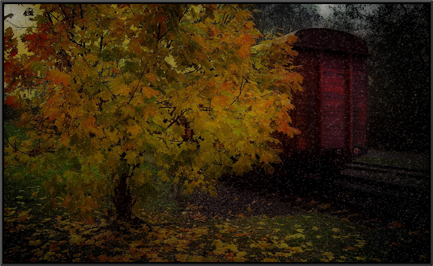 photo "***" tags: misc., 