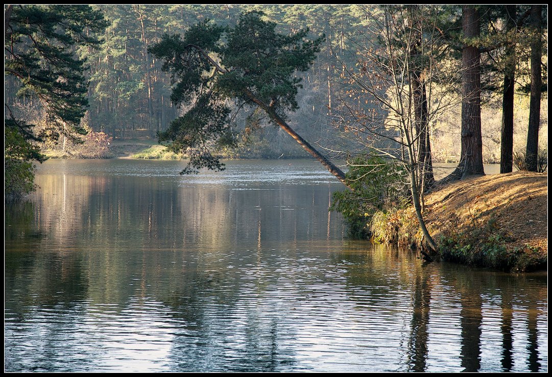 photo "under water" tags: landscape, autumn, water