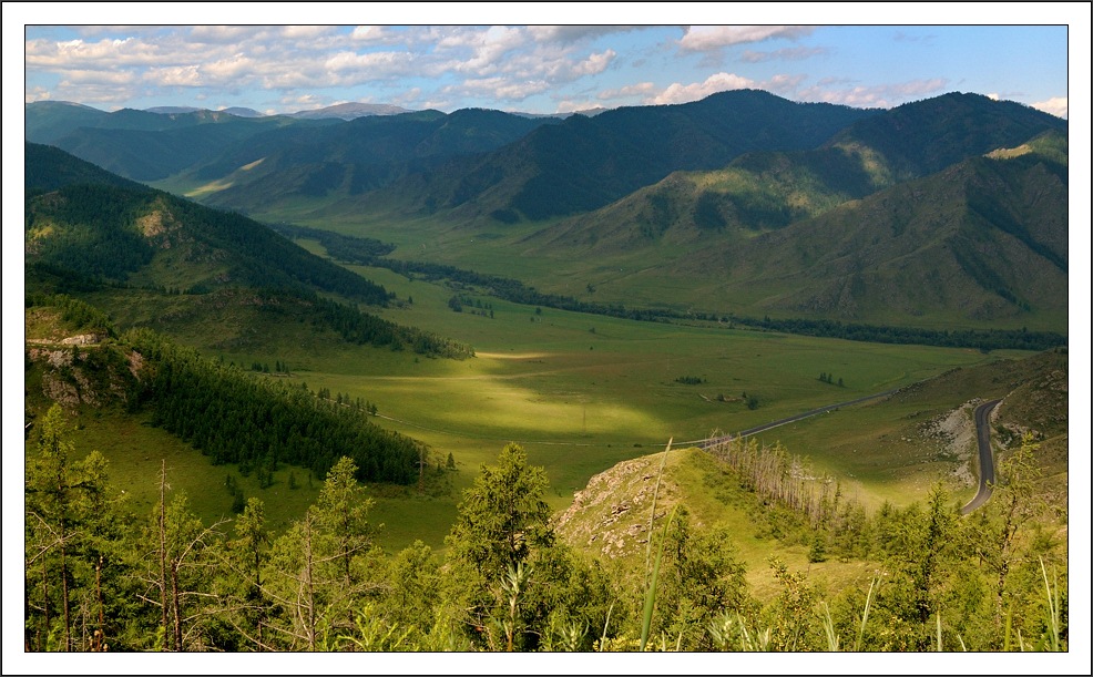 photo "On Pass" tags: landscape, forest, mountains