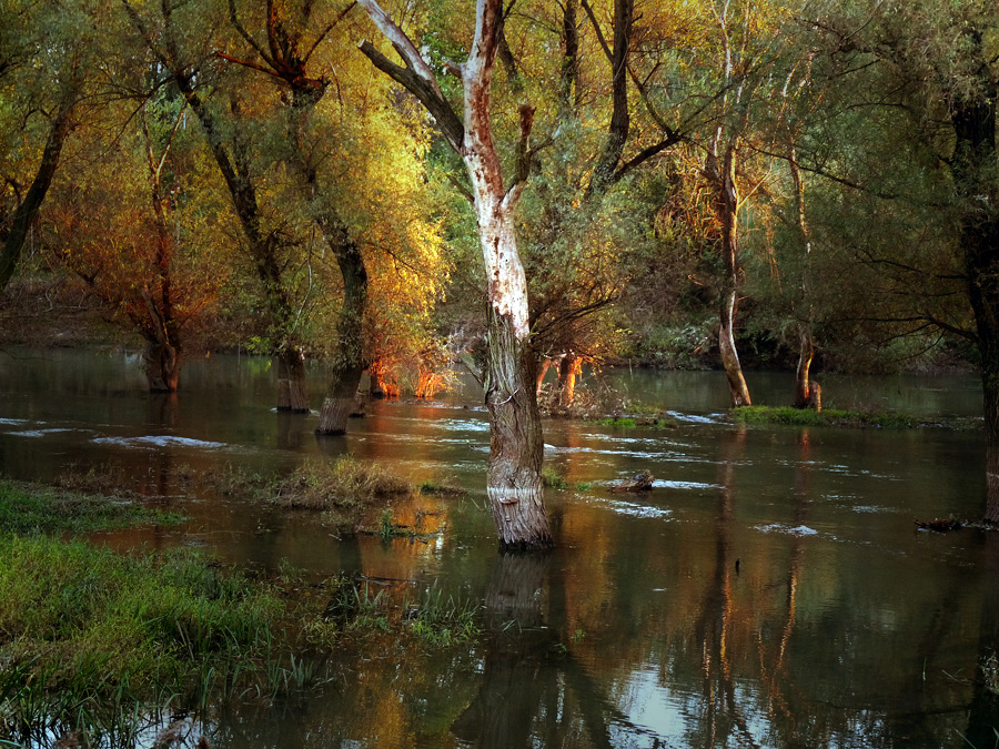 фото "***" метки: пейзаж, 