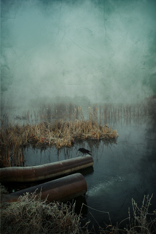 photo "Nevermore" tags: , 