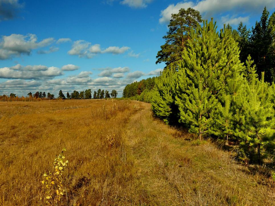 photo "***" tags: landscape, autumn