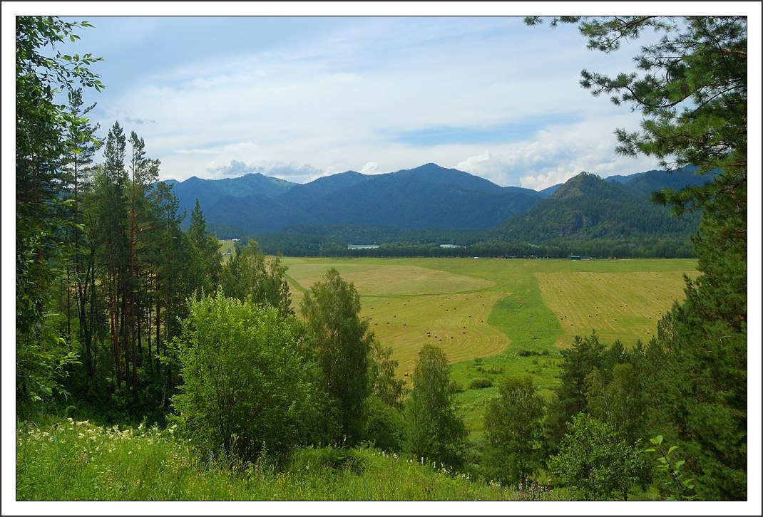 photo "View on field" tags: landscape, forest, mountains