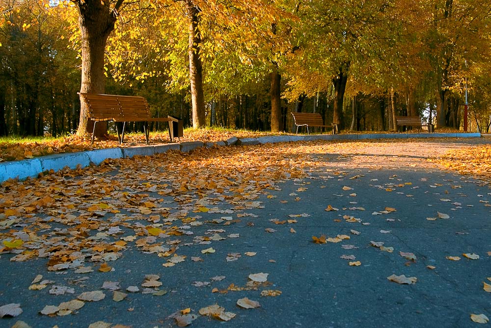 Осенний Брянск Фото