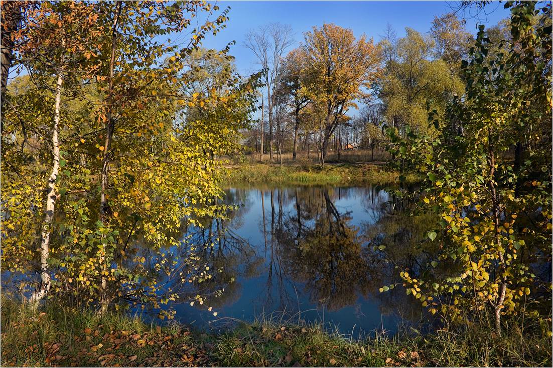 photo "***" tags: landscape, Yaroslavl, autumn, reflections, water