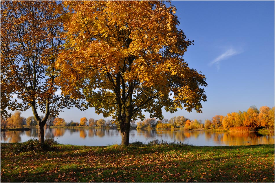 фото "Есенни багри" метки: пейзаж, осень