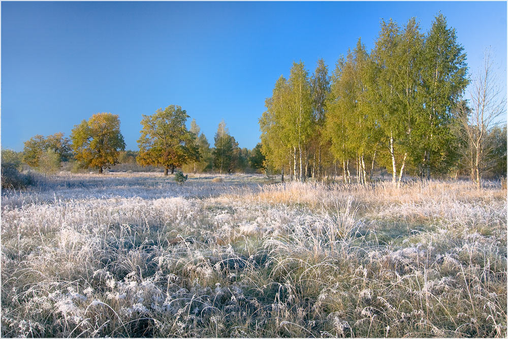 photo "***" tags: landscape, autumn