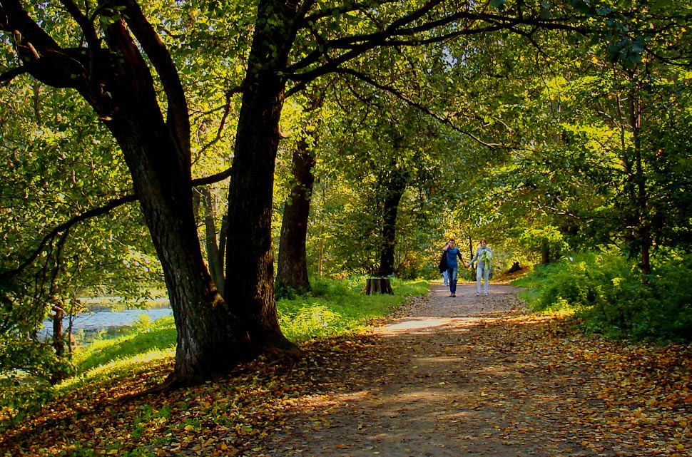 photo "***" tags: landscape, autumn