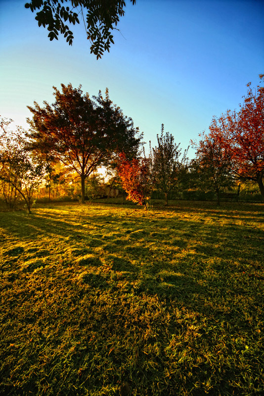 photo "*" tags: landscape, autumn