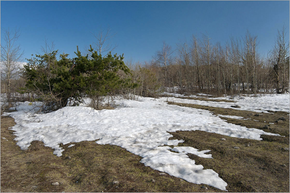 photo "last snow" tags: landscape, 