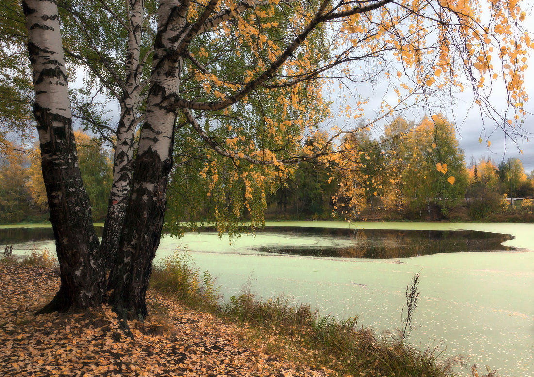 photo "***" tags: landscape, autumn