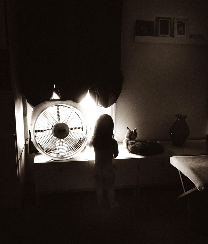 photo "***" tags: digital art, 