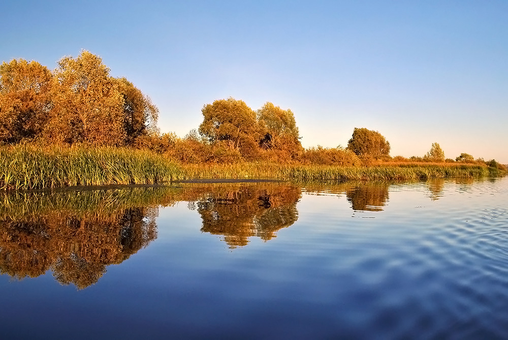 photo "***" tags: landscape, summer, water