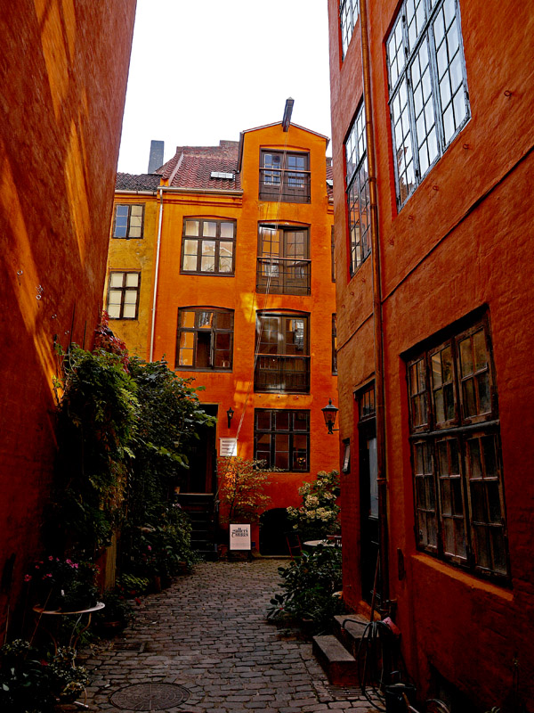 photo "Back Yard Copenhagen" tags: city, reporting, 