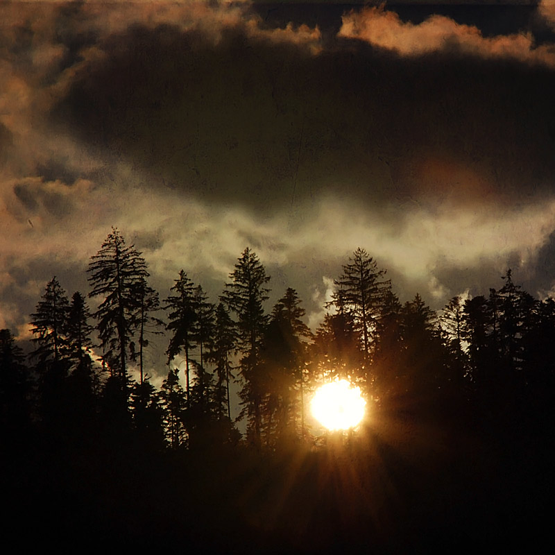 photo "***" tags: landscape, 