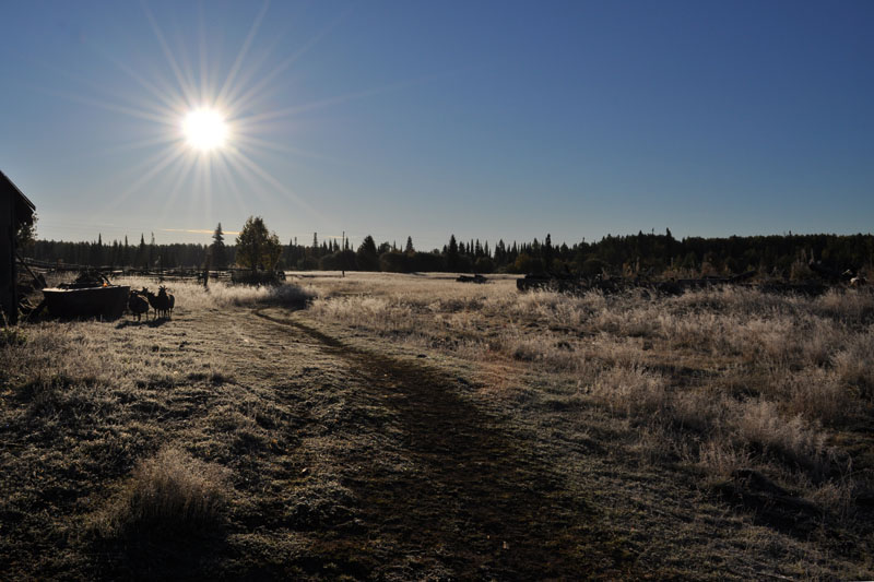 photo "***" tags: landscape, autumn