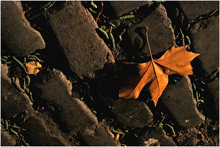 photo "***" tags: landscape, autumn, night
