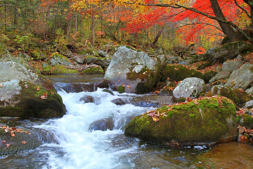 photo "***" tags: landscape, autumn