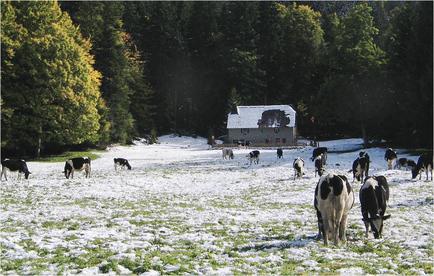 фото "The first snow..." метки: путешествия, Европа