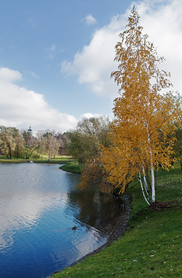 photo "***" tags: landscape, autumn