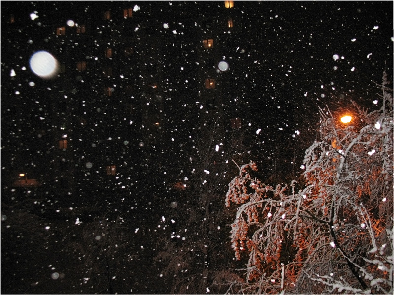 photo "Night snowfall" tags: landscape, night