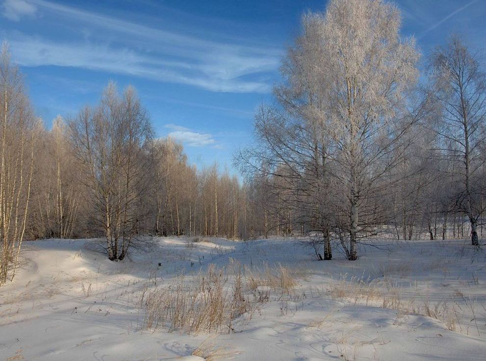 фото "Снежная равнина." метки: пейзаж, зима, лес