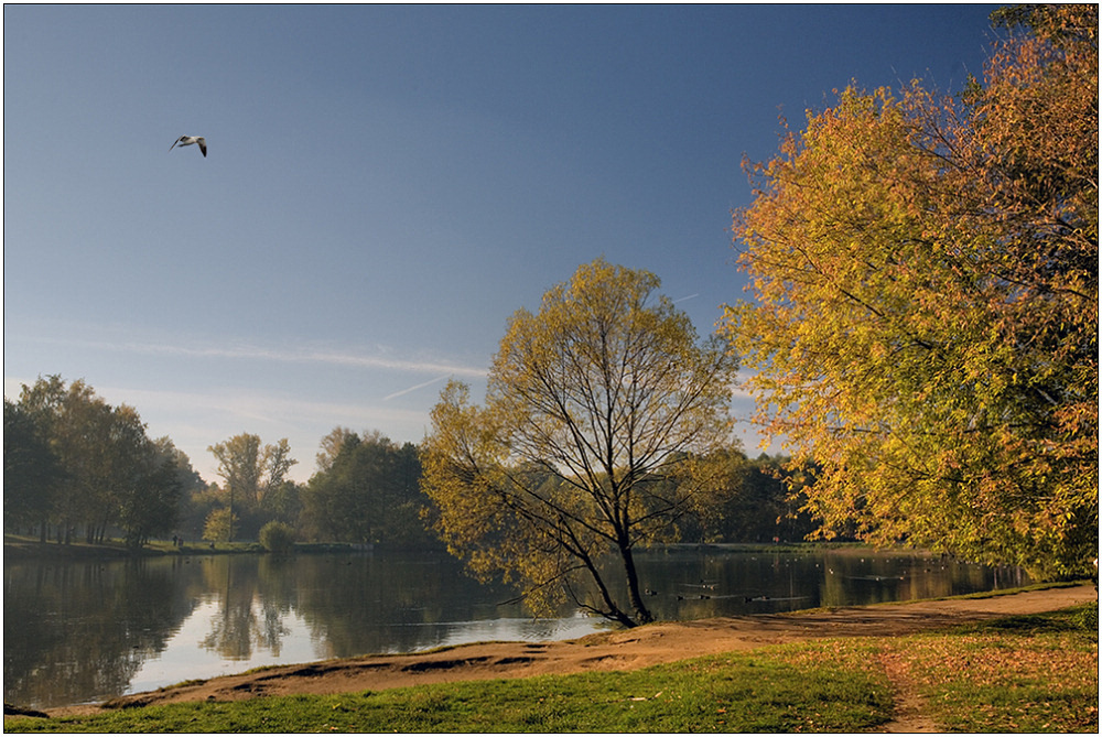 photo "Autumn morning" tags: landscape, autumn, water