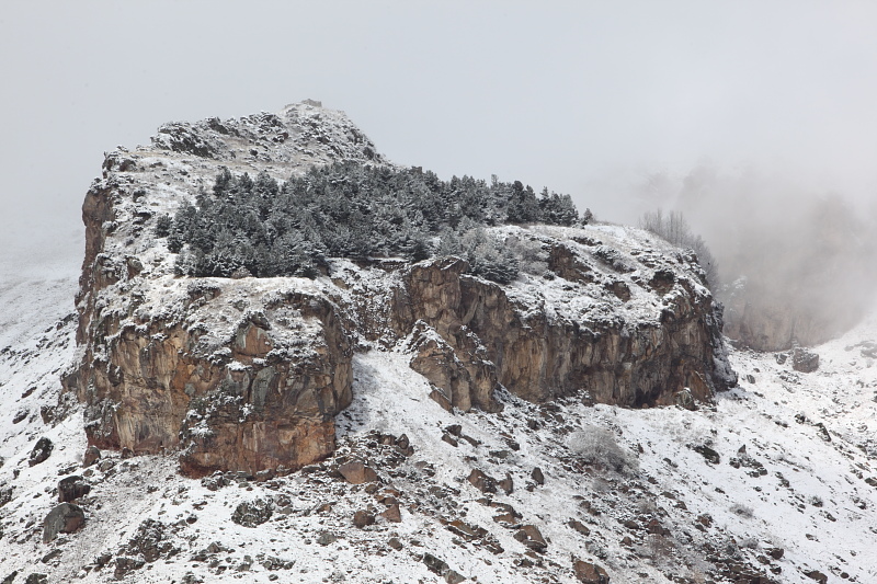 фото "Rock hugged forest" метки: пейзаж, горы, зима