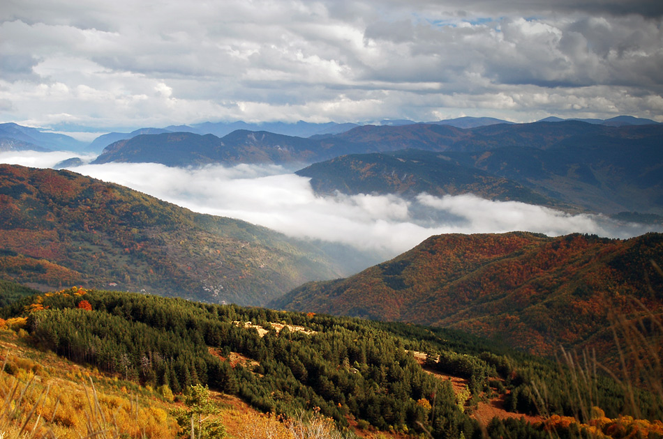 photo "***" tags: landscape, autumn