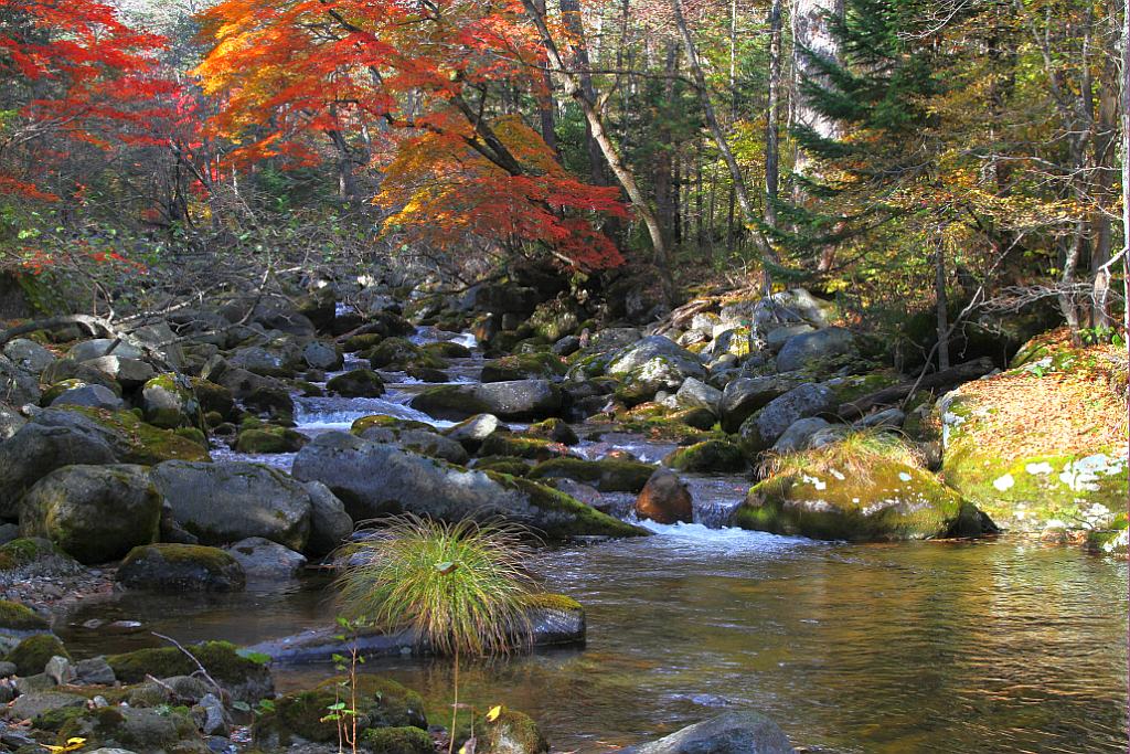 photo "***" tags: landscape, autumn