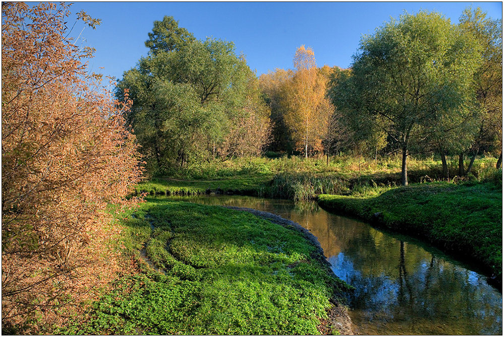 photo "Different colors" tags: landscape, autumn, forest