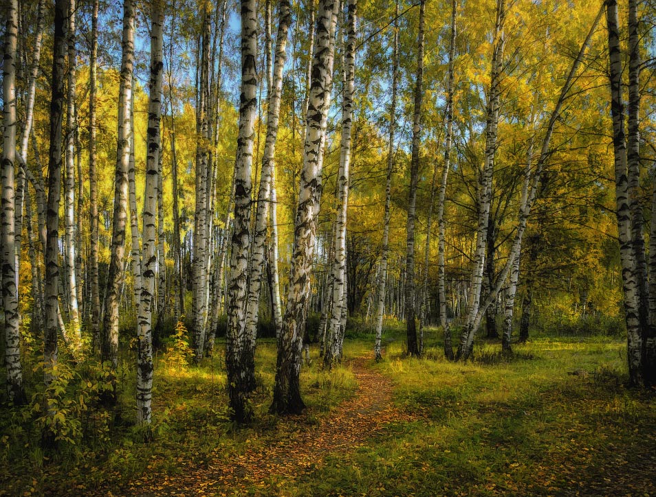 photo "***" tags: landscape, autumn