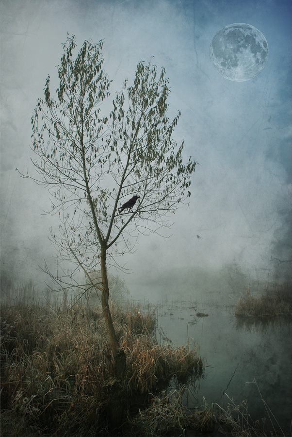 фото "Nevermore II" метки: пейзаж, абстракция, осень