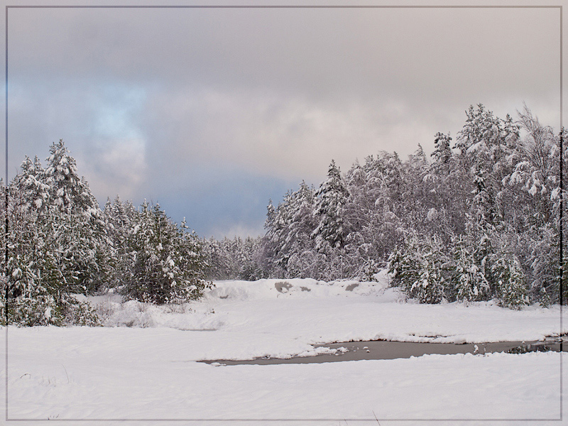 photo "***" tags: landscape, forest, winter