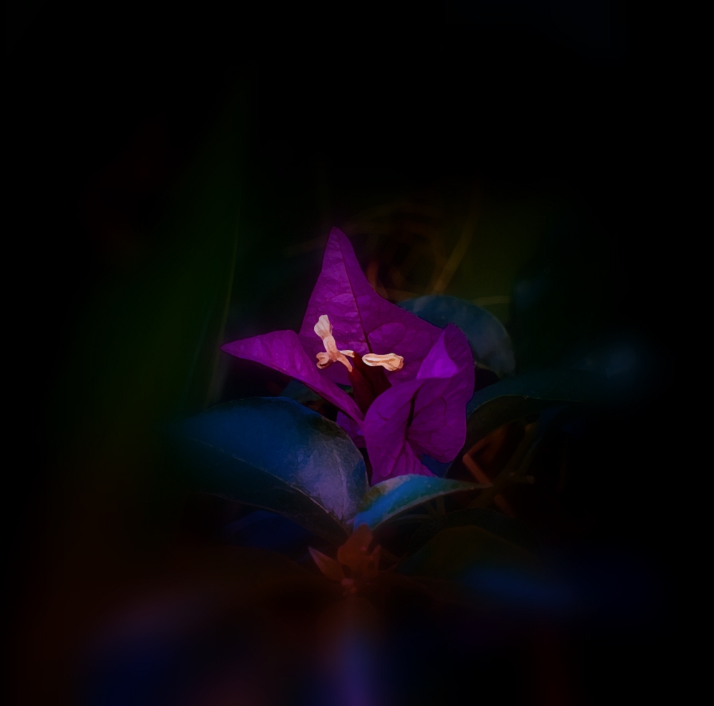 photo "***" tags: nature, flowers