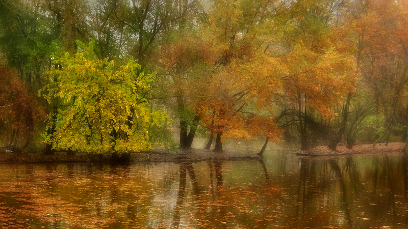 photo "***" tags: landscape, autumn