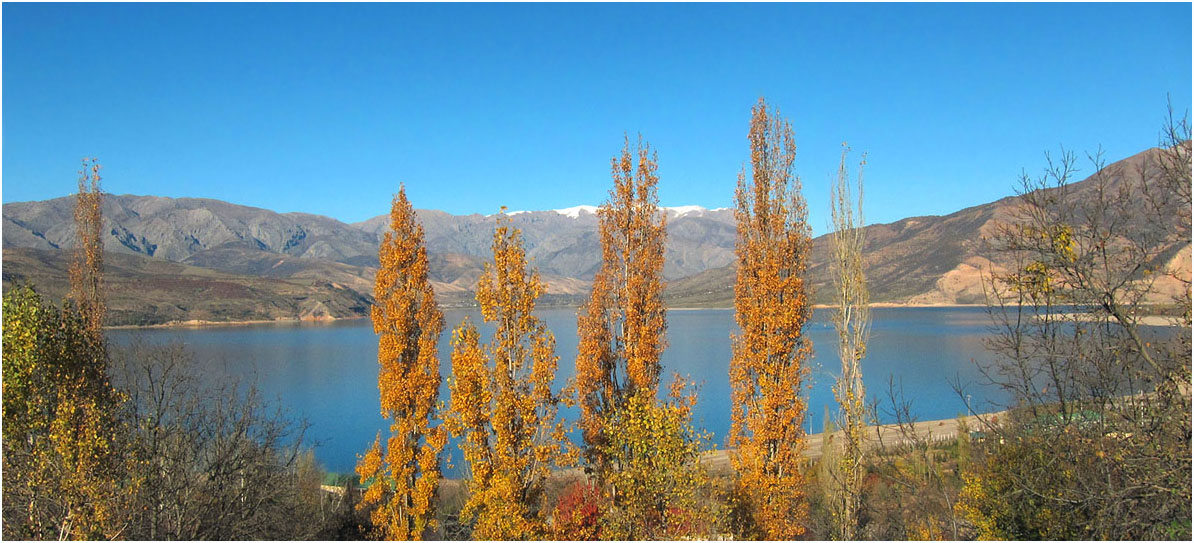photo "Autumn Poplars" tags: landscape, autumn, mountains