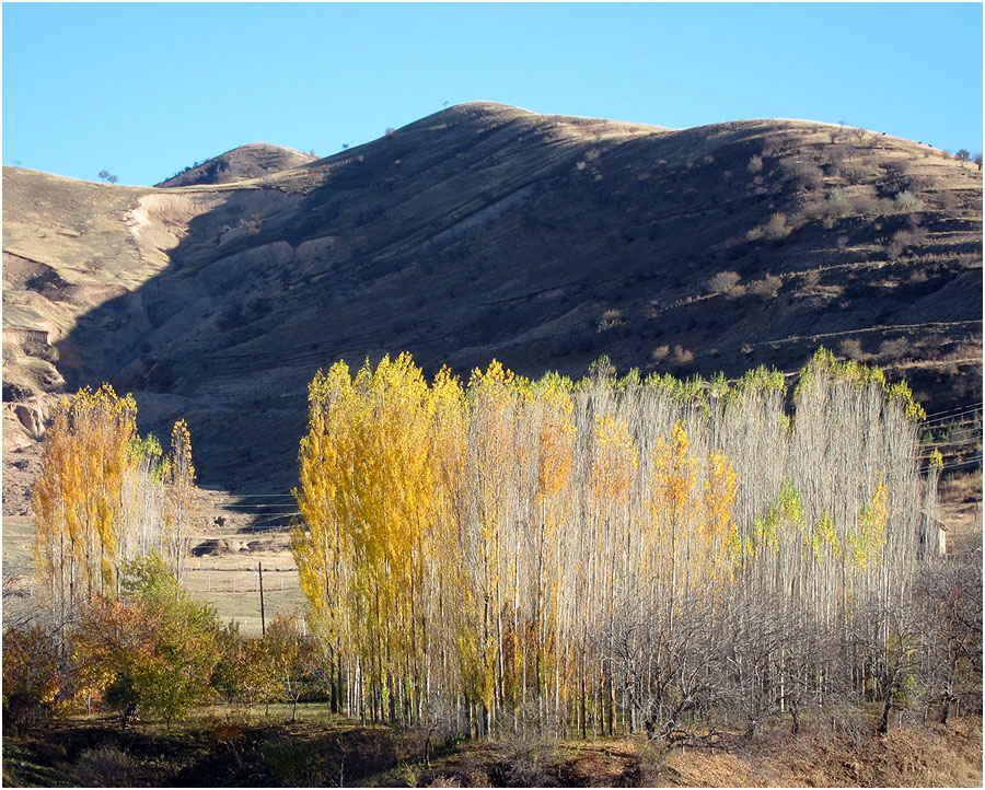 photo "Last leaves" tags: landscape, autumn, mountains
