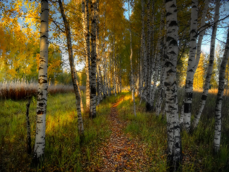 photo "***" tags: landscape, autumn