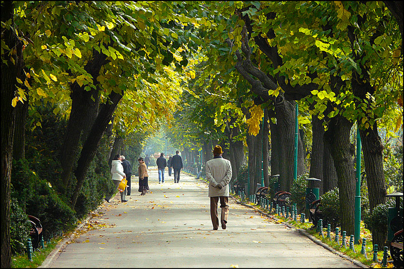 photo "Autumn in the garden / Осень в парке" tags: landscape, city, Bucharest, autumn, parks, people, road, trees