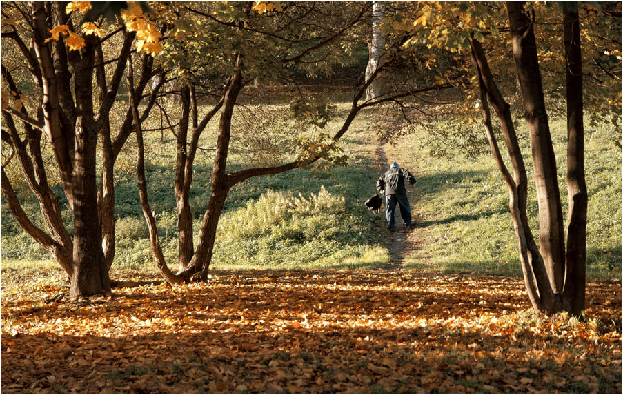 photo "***" tags: landscape, autumn