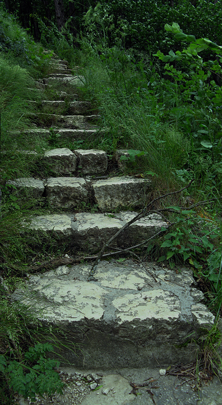 photo "Old step ladder ..." tags: architecture, fragment, landscape, 