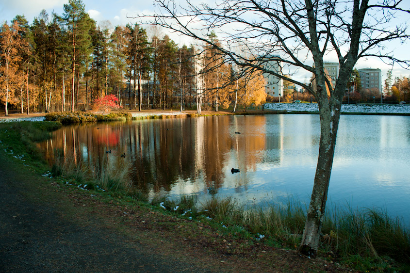 photo "***" tags: landscape, autumn