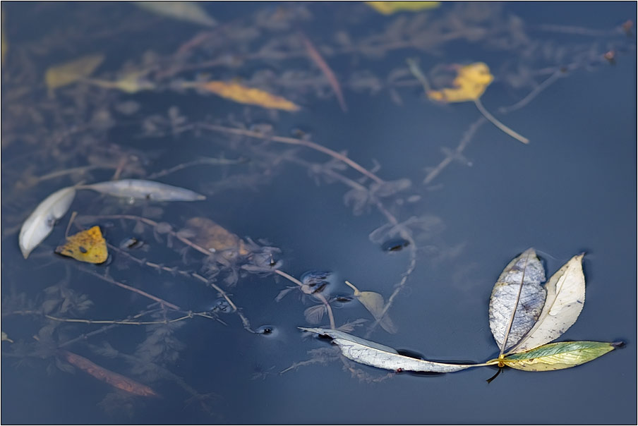 фото "***" метки: пейзаж, фрагмент, вода