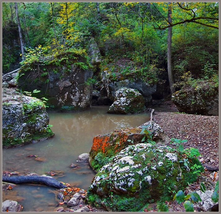 photo "***" tags: landscape, forest, mountains