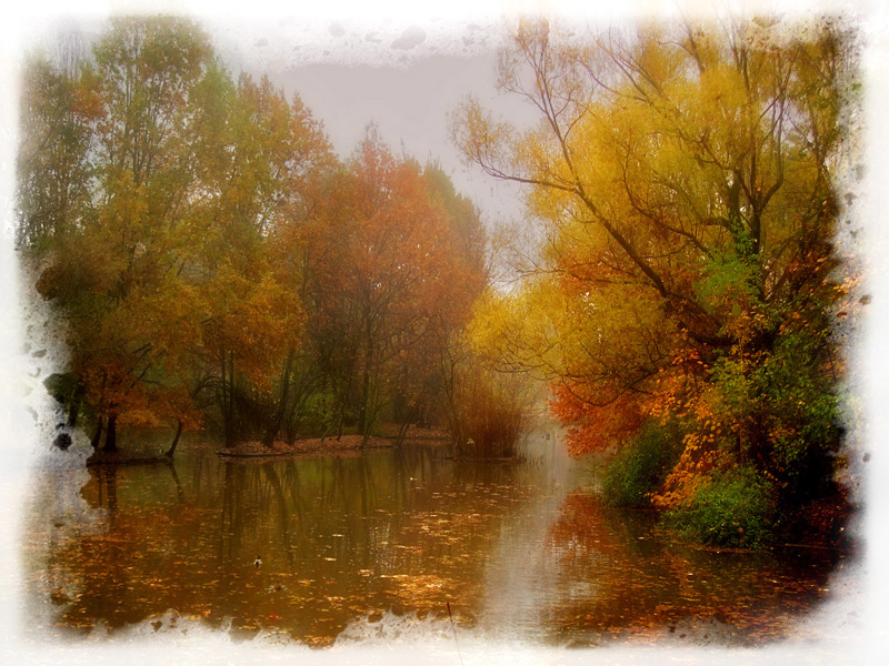 photo "***" tags: landscape, autumn