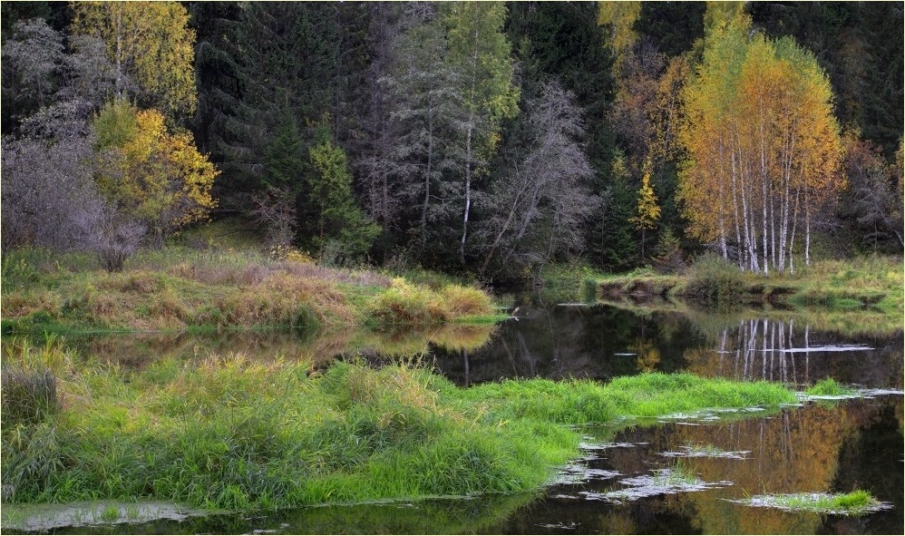 photo "***" tags: landscape, autumn